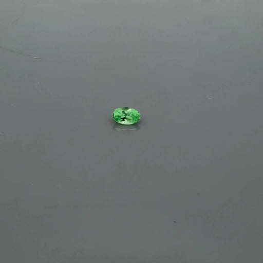 0.34ct Oval Natural Garnet (Colour Green, Clarity Slightly Included, Cut Faceted)