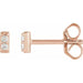 Ladies Natural Diamond Bar Earrings — 14K Rose Gold