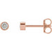 Ladies Natural Diamond Micro Bezel-Set Earrings — 14K Rose Gold