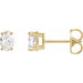 Ladies Natural Diamond Earrings (I1, G-H) — 14K Yellow Gold