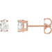 Ladies Natural Diamond Earrings (I1, G-H) — 14K Rose Gold