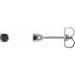Ladies Natural Black Diamond Earrings (Opaque, Black) — 14K White Gold