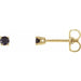 Ladies Natural Black Diamond Earrings (Opaque, Black) — 14K Yellow Gold