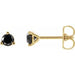 Ladies Natural Black Diamond Earrings (Opaque, Black) — 14K Yellow Gold