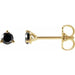 Ladies Natural Black Diamond Earrings (Opaque, Black) — 14K Yellow Gold