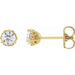 Ladies Natural Diamond Vintage-Inspired Earrings (I1, G-H) — 14K Yellow Gold
