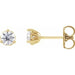 Ladies Natural Diamond Scroll Earrings (I1, G-H) — 14K Yellow Gold