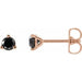 Ladies Natural Black Diamond Earrings (Opaque, Black) — 14K Rose Gold