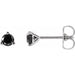 Ladies Natural Black Diamond Earrings (Opaque, Black) — 14K White Gold