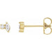 Ladies Natural Diamond Earrings — 14K Yellow Gold