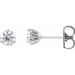 Ladies Natural Diamond Scroll Earrings (Si2-Si3, G-H) — Platinum