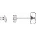 Ladies Natural Diamond Earrings — Sterling Silver