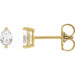 Ladies Natural Diamond Stud Earrings (Si2-Si3, G-H) — 14K Yellow Gold
