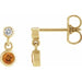 Ladies Natural Citrine Natural Diamond Two-Stone Earrings (I1, G-H) — 14K Yellow Gold