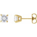 Ladies Natural Diamond Earrings (Vs, Ghi) — 14K Yellow Gold