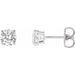 Ladies Natural Diamond Earrings (Si2-Si3, G-H) — 14K White Gold