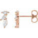 Ladies Natural Diamond Nature-Inspired Earrings — 14K Rose Gold