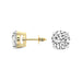 4 Prong Round Studs - 14k Yellow Gold, 4.00 Ct (12398) Databazaar.com
