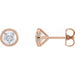 Ladies Natural Diamond Cocktail-Style Earrings (Si2-Si3, G-H) — 14K Rose Gold