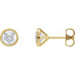Ladies Natural Diamond Cocktail-Style Earrings (Si2-Si3, G-H) — 14K Yellow Gold