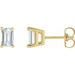 Ladies Natural Diamond Earrings — 14K Yellow Gold