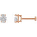Ladies Natural Diamond Earring (Vs, G-H) — 14K Rose Gold