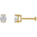Ladies Natural Diamond Earring (Vs, G-H) — 14K Yellow Gold