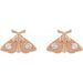 Ladies Natural Diamond Moth Earring — 14K Rose Gold