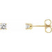 Ladies Natural Diamond Youth Earrings (I2, G-H) — 14K Yellow Gold