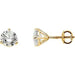 Ladies Natural Diamond Cocktail-Style Earring (I1, G-H) — 14K Yellow Gold