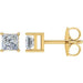 Ladies Natural Diamond Earrings (Si2-Si3, G-H) — 14K Yellow Gold