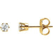 Ladies Natural Diamond 6-Prong Stud Earrings (Si2-Si3, G-H) — 14K Yellow Gold