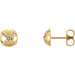 Ladies Natural Diamond Earrings — 14K Yellow Gold