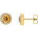 Ladies Natural Yellow Sapphire Natural Diamond Earrings — 14K Yellow Gold