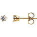 Ladies Natural Diamond Stud Earrings (I1, G-H) — 14K Yellow Gold