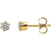 Ladies Natural Diamond Stud Earrings (I1, G-H) — 14K Yellow Gold