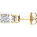 Ladies Natural Diamond Earrings (I2, I-J) — 14K Yellow Gold