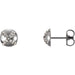 Ladies Natural Diamond Earrings — Platinum