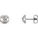 Ladies Natural Diamond Earrings — 14K White Gold