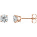 Ladies Natural Diamond Earrings (I3, G-H) — 14K Rose Gold