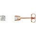Ladies Natural Diamond Earrings (I2, G-H) — 14K Rose Gold