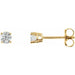 Ladies Natural Diamond Earrings (I1, G-H) — 14K Yellow Gold