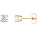 Ladies Natural Diamond Earrings (Si2-Si3, G-H) — 14K Yellow Gold