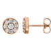 Ladies Natural Diamond Earrings — 14K Rose Gold