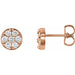 Ladies Natural Diamond Cluster Earrings — 14K Rose Gold