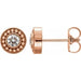 Ladies Natural Diamond Beaded Earrings (I1, G-H) — 14K Rose Gold