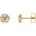 Ladies Natural Diamond Earrings — 14K Yellow Gold