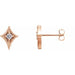 Ladies Natural Diamond Geometric Earrings (I1, G-H) — 14K Rose Gold