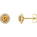 Ladies 5 mm Natural Citrine Natural Diamond Earrings — 14K Yellow Gold