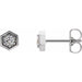 Ladies Natural Diamond Hexagon Stud Earrings (Si2-Si3, G-H) — Platinum